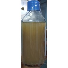 Nutrient Agar
